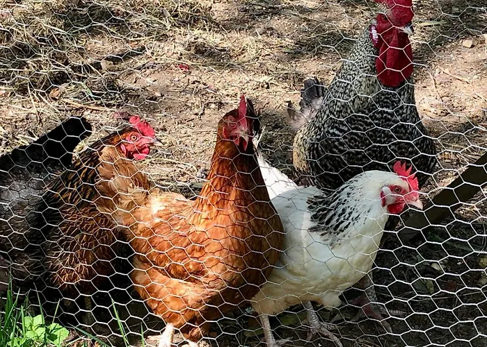 Отель типа 
